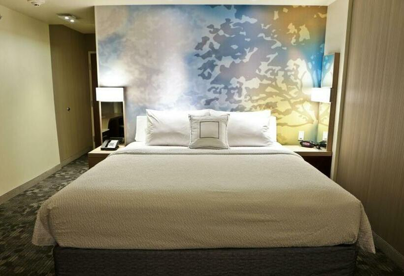Стандартный Номер Кровать Кинг, Courtyard By Marriott Battle Creek