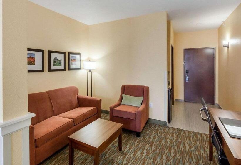 סוויטה, Comfort Suites Cotulla Near I35