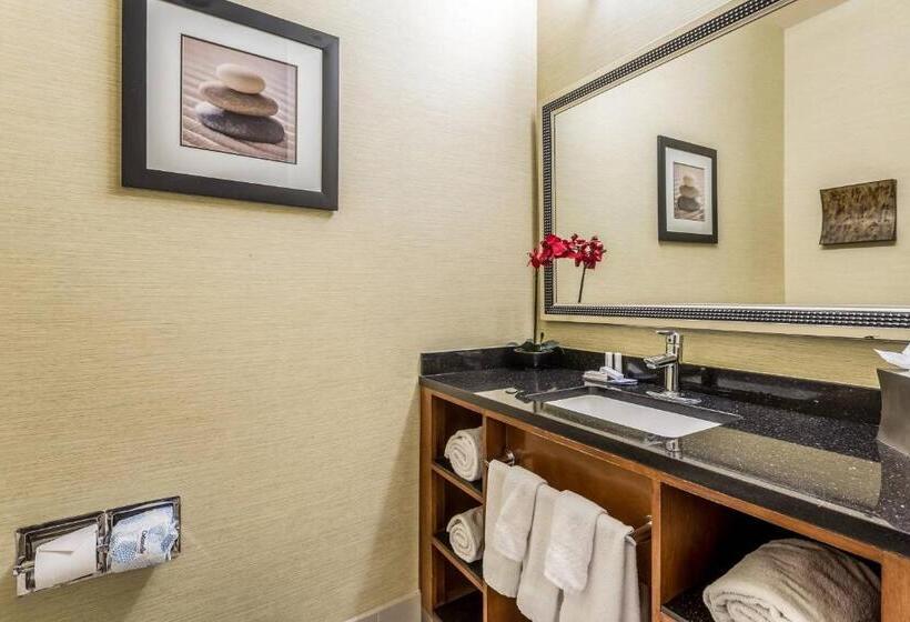 Стандартный Номер Кровать Кинг, Fairfield Inn & Suites By Marriott Alamogordo