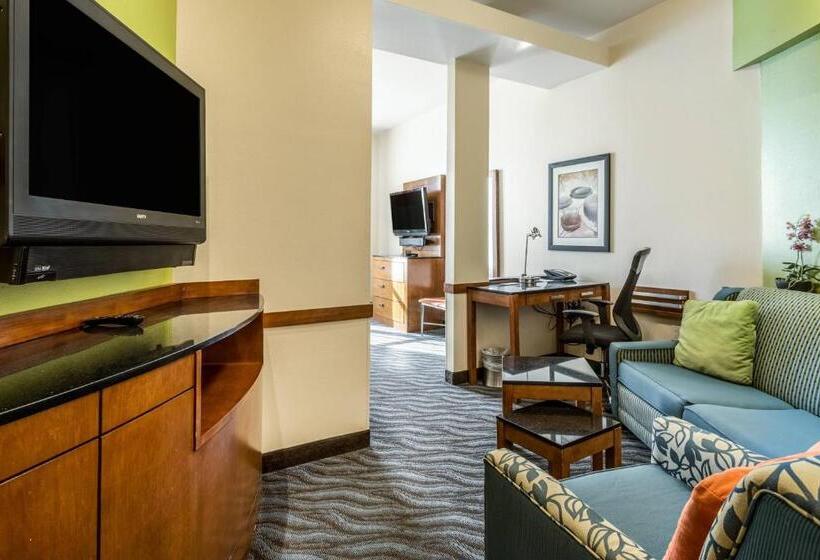 Студио Стандарт Кровать Кинг, Fairfield Inn & Suites By Marriott Alamogordo