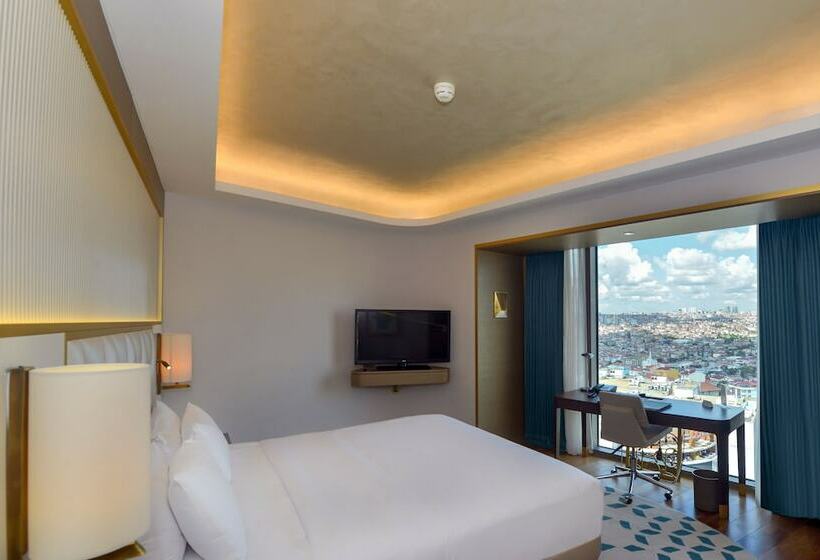 行政房间, Hilton Istanbul Kozyatagi