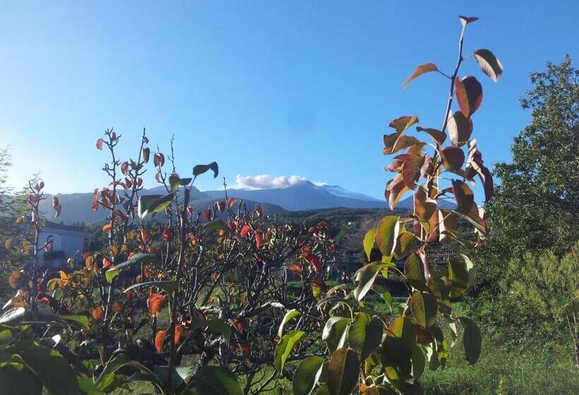 オーシャンビュースタンダードルームバルコニー付き, Alberto S Mt.etna B&b
