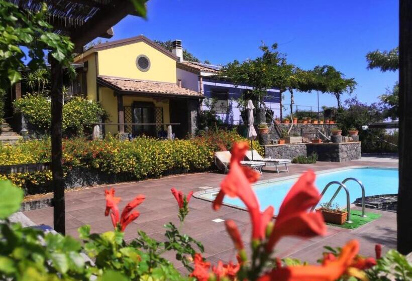 オーシャンビュースタンダードルームバルコニー付き, Alberto S Mt.etna B&b