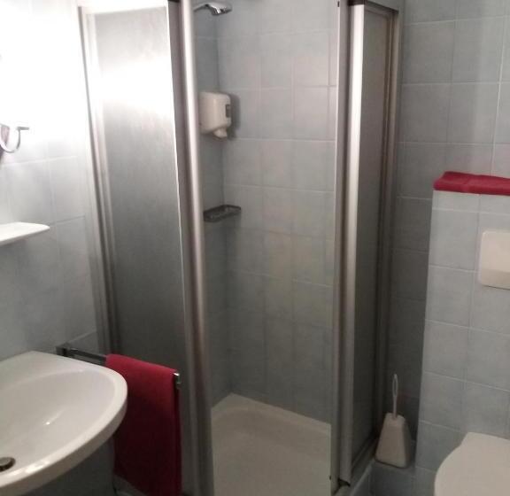 スタンダードシングルルーム, Austria Traveller Hotel Lenzing