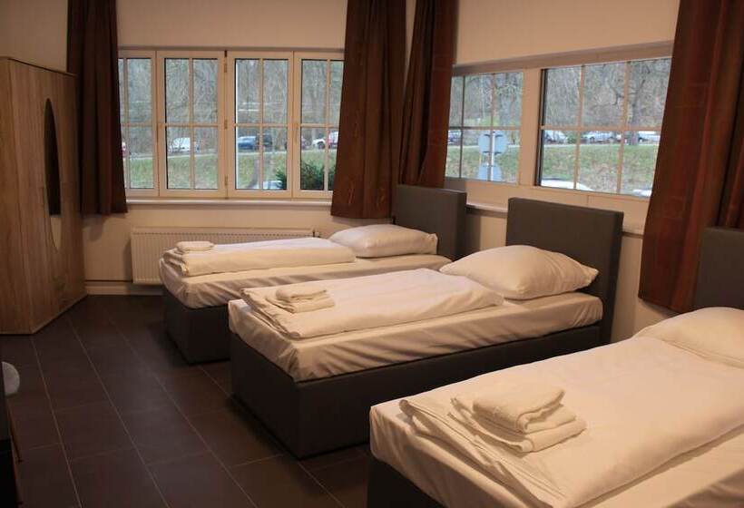 标准三人间, David S Hostel