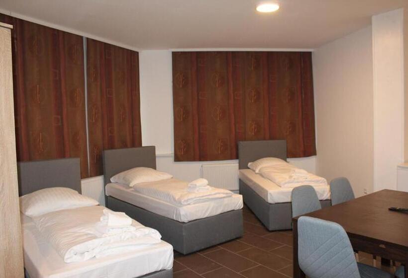 家庭间, David S Hostel