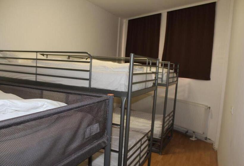 共用房间的床, David S Hostel