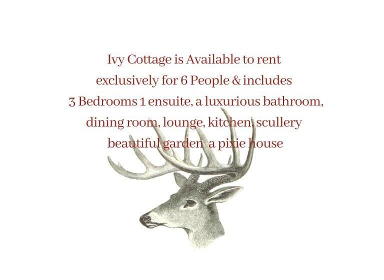 اتاق استاندارد با چشم‌انداز باغ, Ivy Cottage B&b