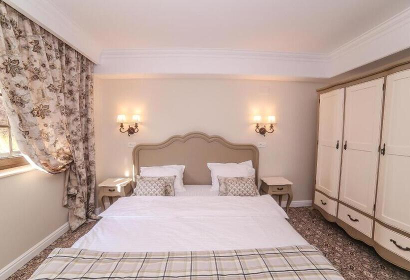اتاق استاندارد با بالکن, Pensiunea Dimitrios & Spa   Băile Herculane  Valea Cernei Terapie Spa  Relaxare A Minții și A Trupul