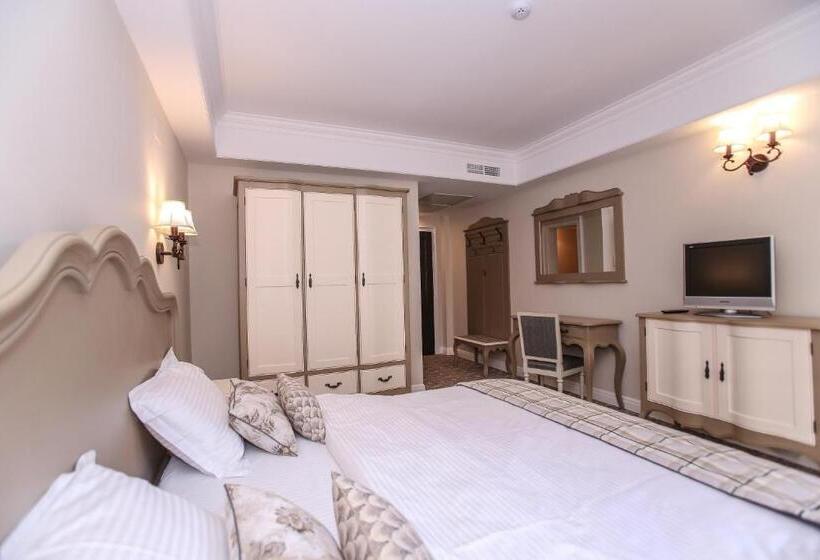 غرفة قياسية مزوَّدة بشُرفة, Pensiunea Dimitrios & Spa   Băile Herculane  Valea Cernei Terapie Spa  Relaxare A Minții și A Trupul