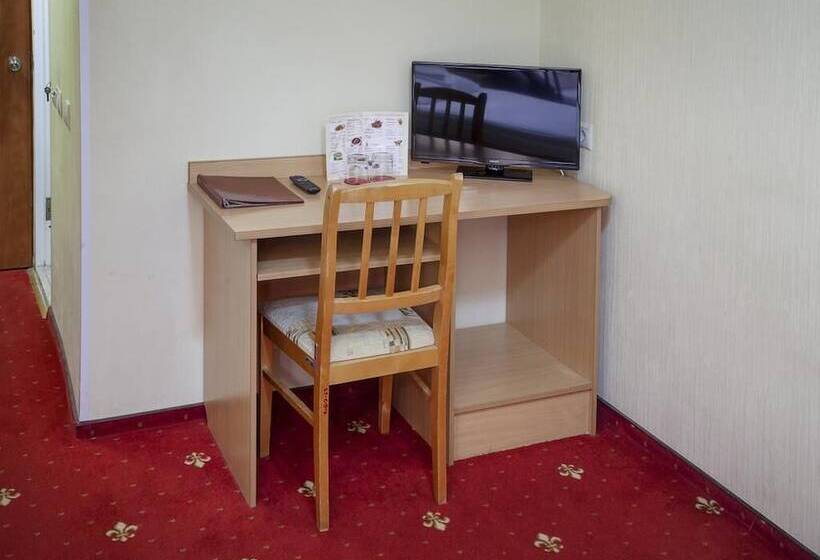 اتاق استاندارد, Amaks Hotel Rossia