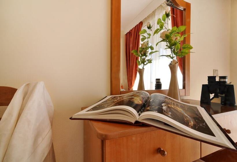 استودیوی استاندارد, Lido Sofia Holidays