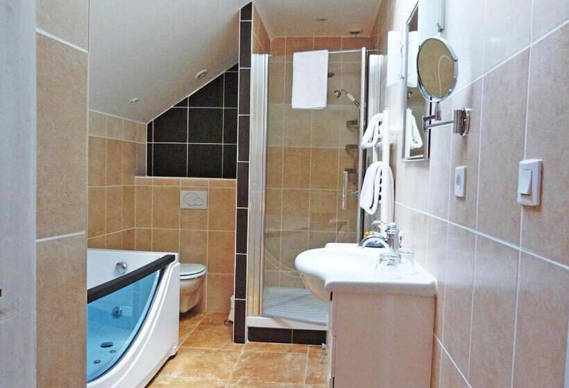 اتاق استاندارد با تخت بزرگ, Hôtel Restaurant Chambre Insolite Spa   Le Xii De Luynes