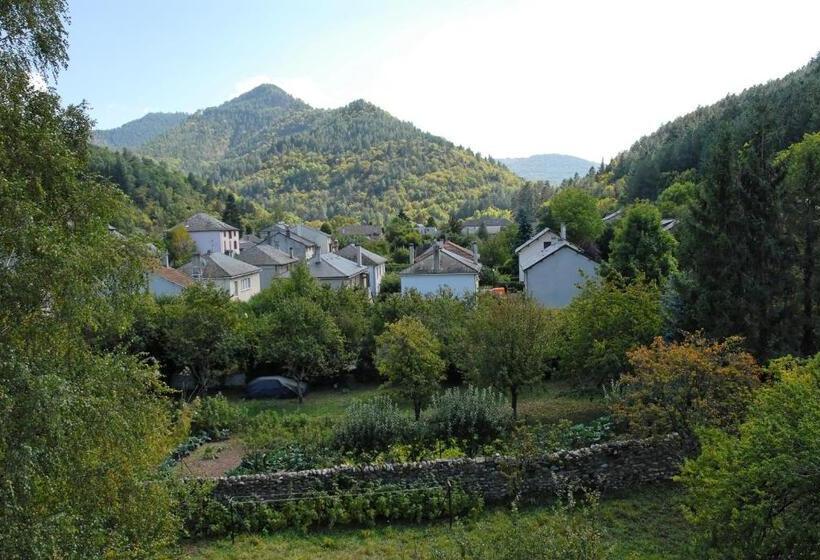 Номер Стандарт Адаптированный для Инвалидов, Logis Hotel Restaurant Des Gorges Du Tarn