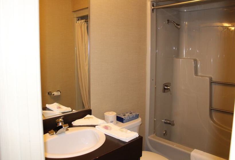 Номер Стандарт 2 Двуспальные Кровати, Motel Capri Et Suites