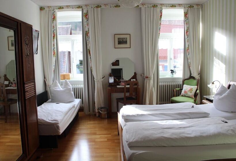Номер Комфорт, Goldener Adler Oberried   Hotel & Appartements