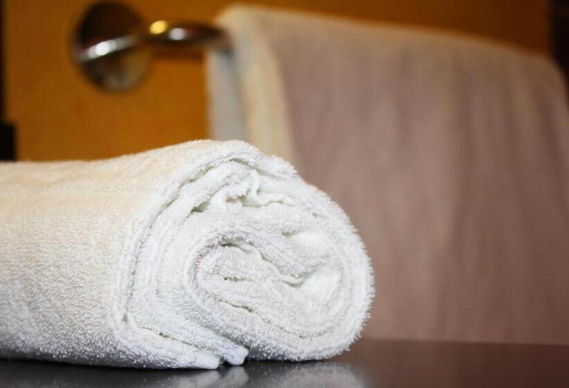 Номер Стандарт Трехместный, Logis Hôtel Atrium Epinal Golbey Chavelot