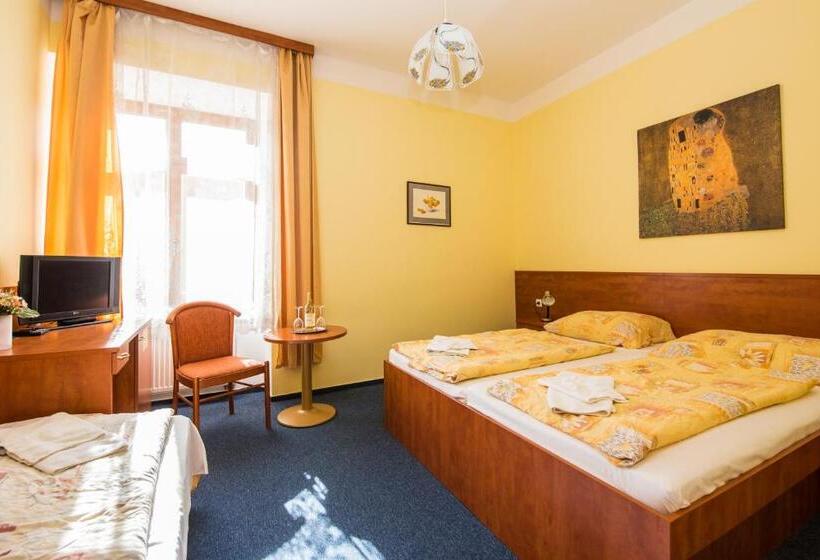 Номер Стандарт Трехместный, Morava