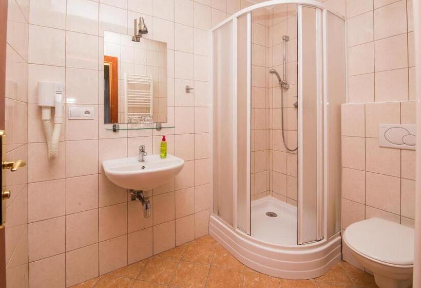 Номер Стандарт Трехместный, Morava