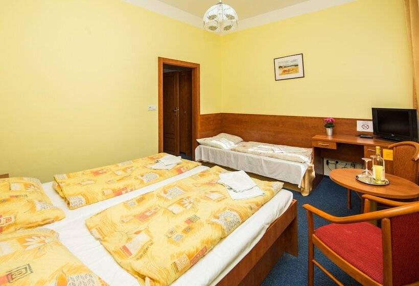 Номер Стандарт Трехместный, Morava