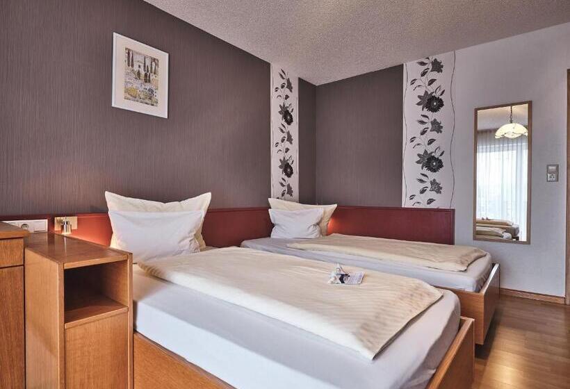 Номер бизнес-класса, Tiptop Hotel Am Hochrhein