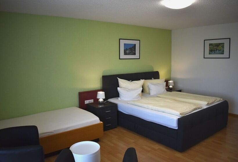 Трехместный Номер Superior, Tiptop Hotel Am Hochrhein