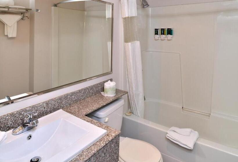 标准间, Canadas Best Value Inn Valemount