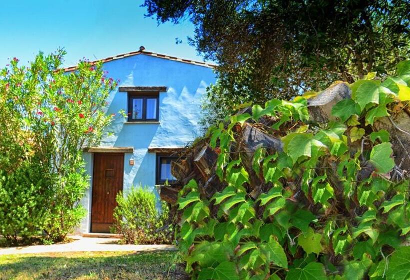 Номер Стандарт Трехместный, Perdepera Resort