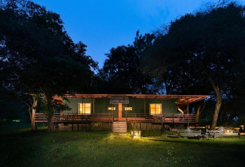 Standard Tent, Jungle Hut