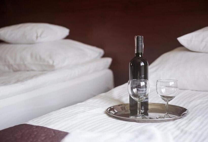 Номер Стандарт, Vinci Hotel Airport