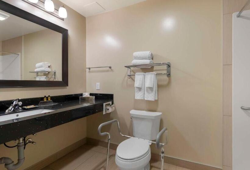 Номер Стандарт Кровать Кинг Адаптированный для Инвалидов, Best Western Plus Moose Jaw