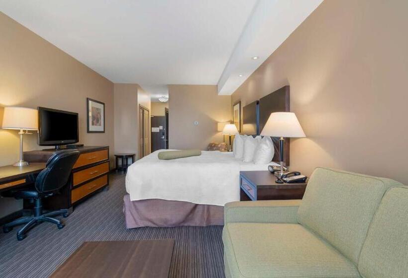 Номер Стандарт Кровать Кинг Адаптированный для Инвалидов, Best Western Plus Moose Jaw