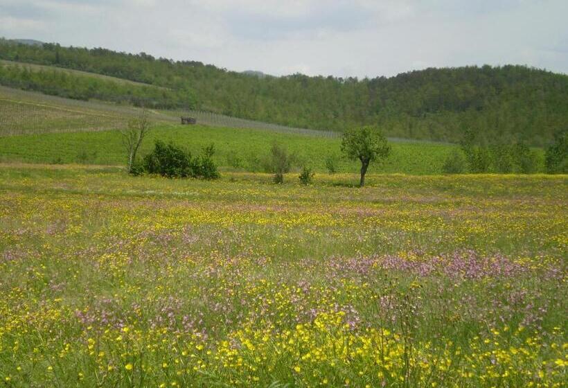 آپارتمان 1 خوابه, B&b Il Nido Del Merlo
