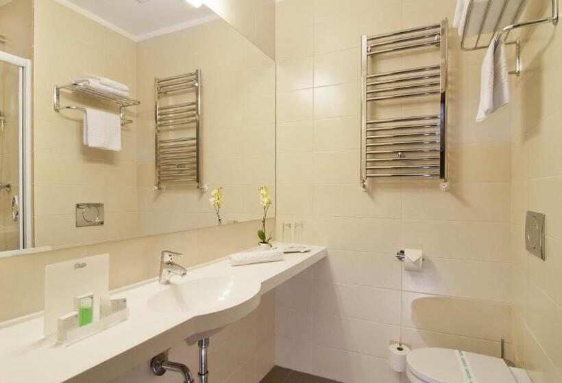 스탠다드 룸 킹사이즈 침대, Wyndham Cluj