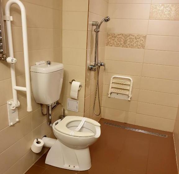 장애인을 위한 스탠다드 룸, Wyndham Cluj