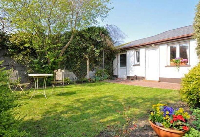 싱글 기본룸, Lynfield Guest House