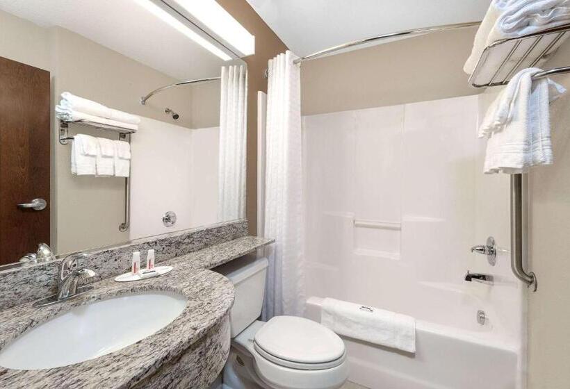 Люкс, Microtel Inn & Suites By Wyndham Williston