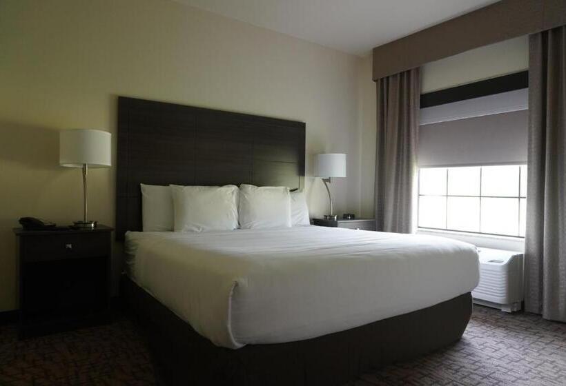 适合残疾人士使用的带超级大床的标准间, Comfort Inn & Suites