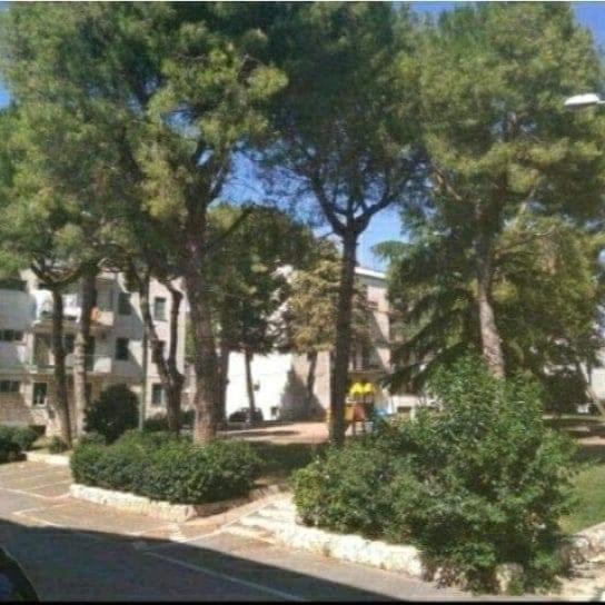 اتاق استاندارد با سرویس بهداشتی مشترک, B&b Baby Park