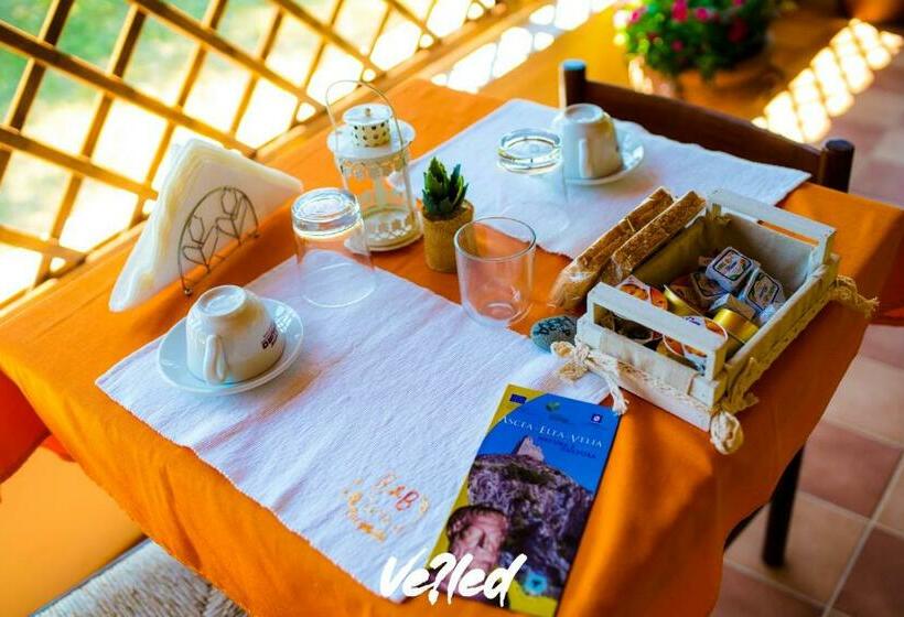 Стандартный Номер Кровать Кинг, B&b La Terra Di Parmenide