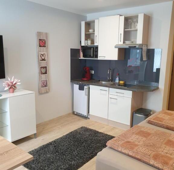 Апартаменты 1 Спальня Нижний Этаж, Hausner`s Hotel  Studio Apartments