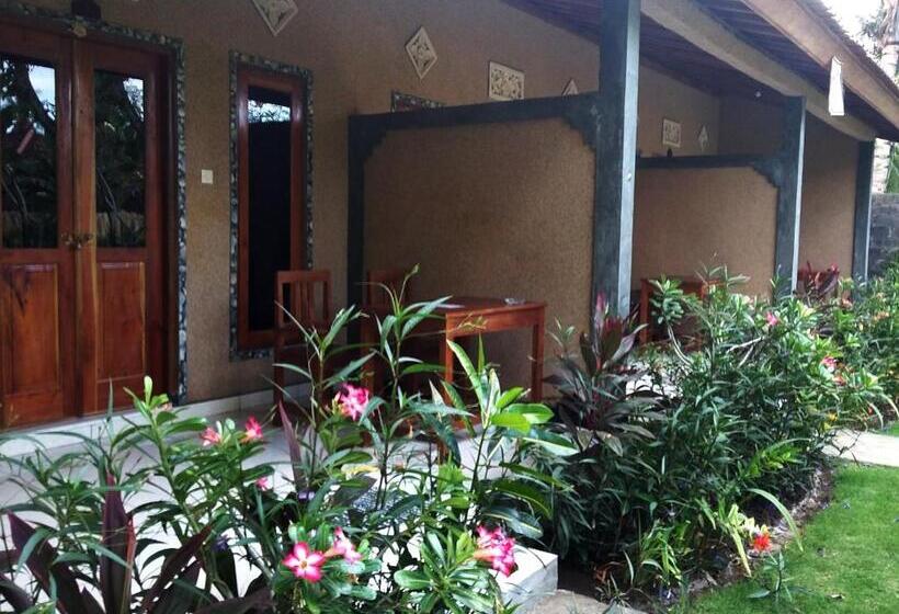 Номер Стандарт, Molleh Guest House