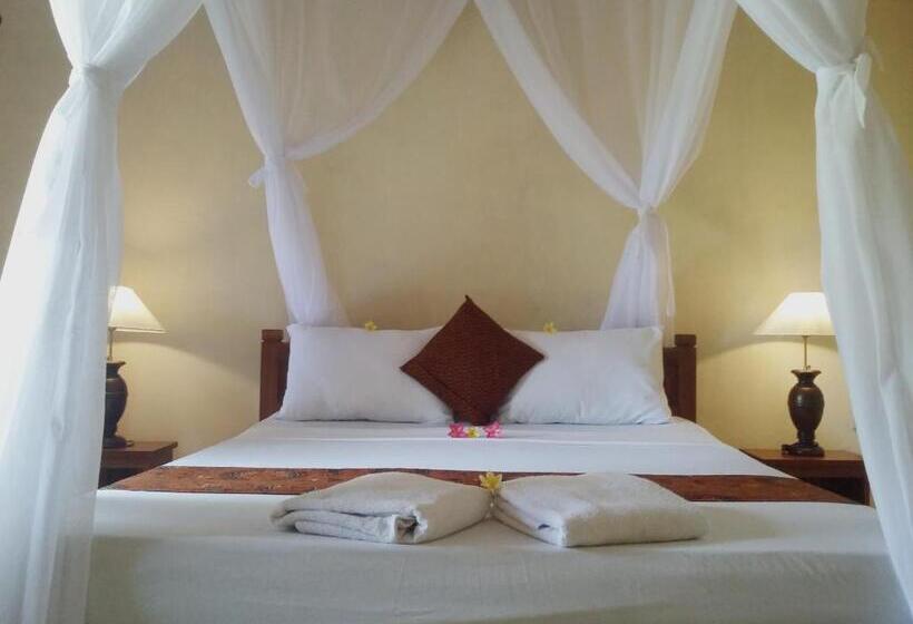 Номер Superior, Molleh Guest House
