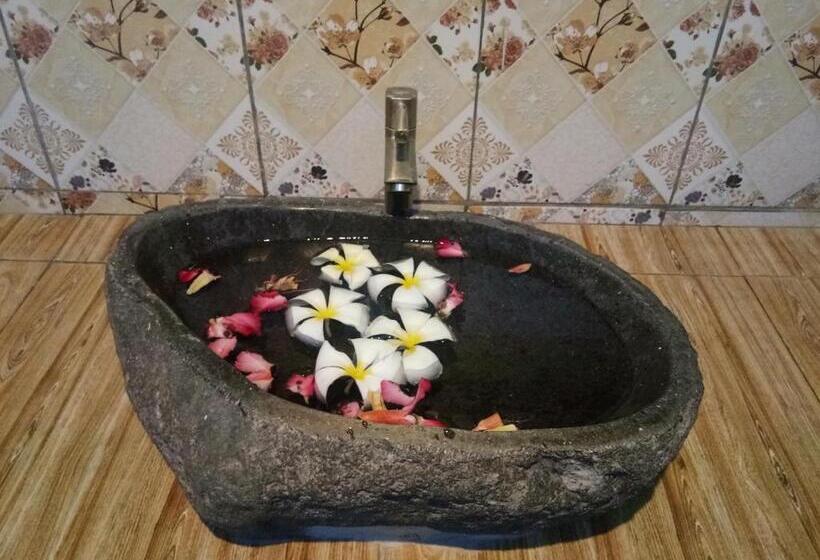 Номер Superior, Molleh Guest House