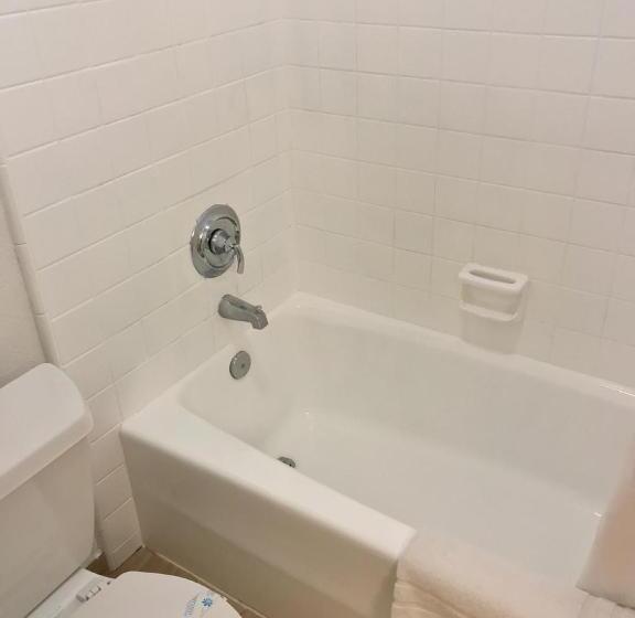 Номер Стандарт, Americas Best Value Inn And Suites  Yucca Valley