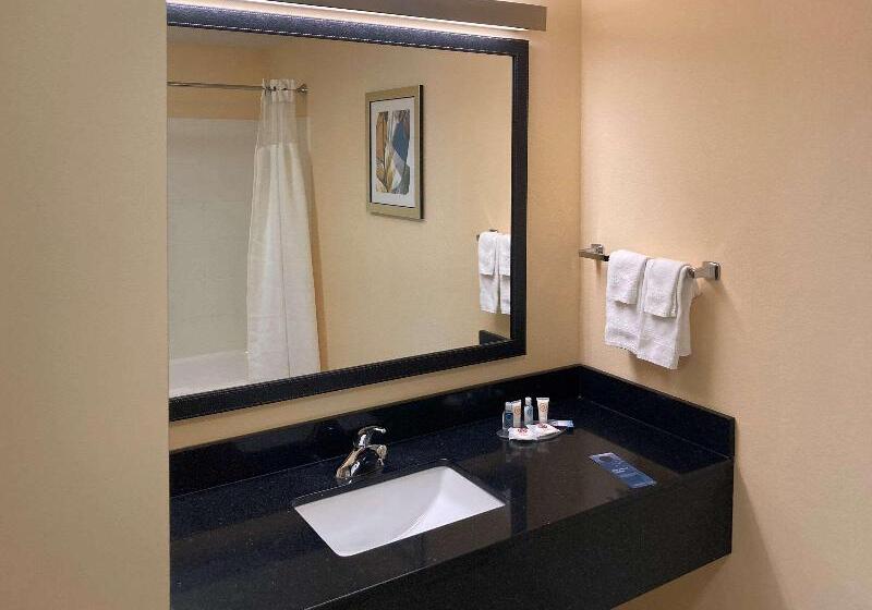 Номер Стандарт Кровать Кинг Адаптированный для Инвалидов, Comfort Inn & Suites Ankeny  Des Moines