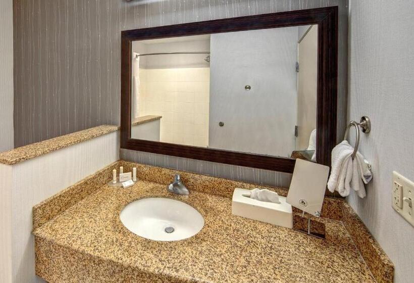 장애인을 위한 스탠다드 룸, Courtyard By Marriott Troy