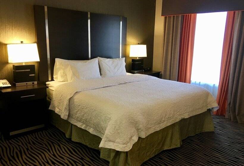 스탠다드 스튜디오 킹침대, Hampton Inn & Suites Tulsa/central