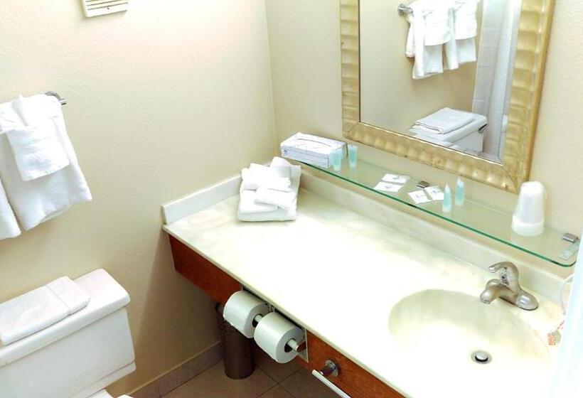 اتاق استاندارد با چشم‌انداز استخر, The Beachview Inn Clearwater Beach