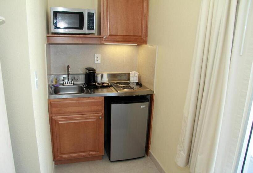 اتاق لوکس با تخت بزرگ, The Beachview Inn Clearwater Beach